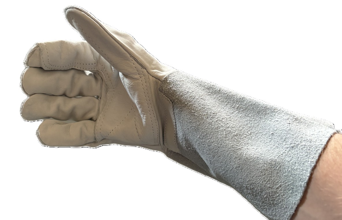 Lashandschoen, enkel, rechts (versterkt), 15cm kap, maat 9/L